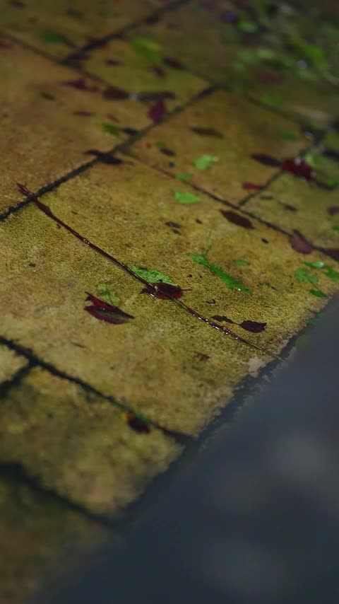 Episode 12 - Angel Bermuka Dua